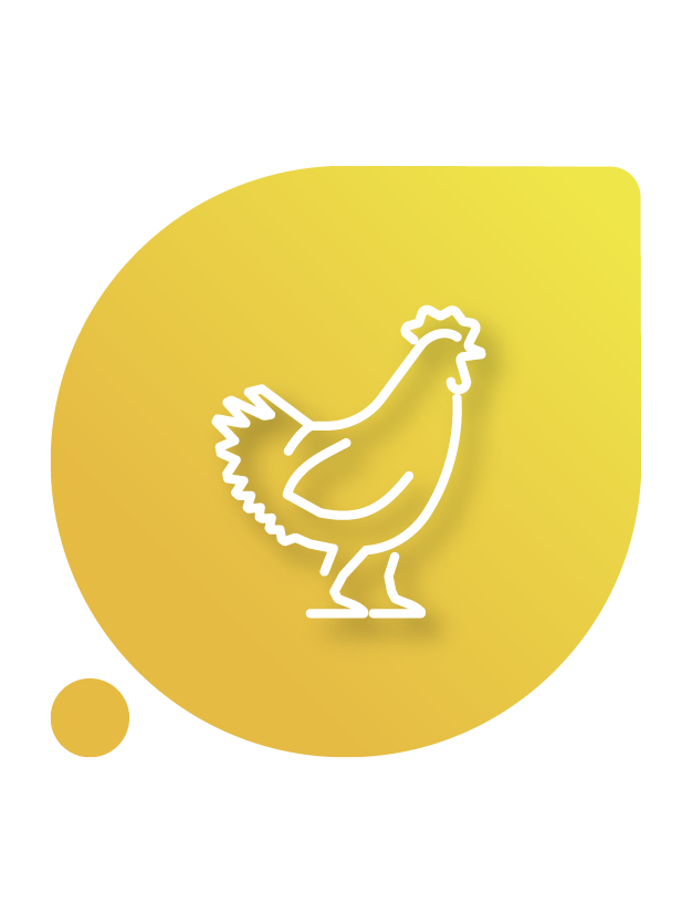 Aves
