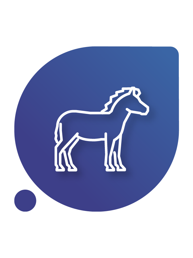 Equinos