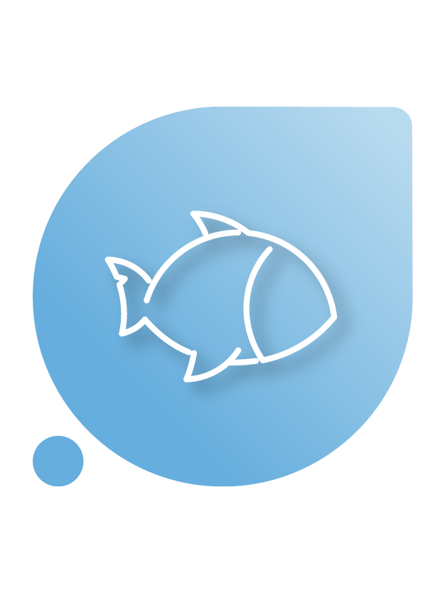 Peixes e Camarões